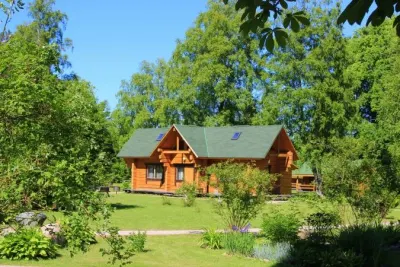 Pārdodu 10 ha zemes, zeme sludinājums Ventspils novadā 6