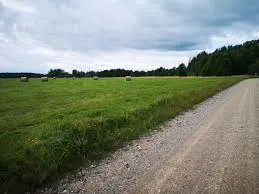 Pārdodu 10 ha zemes, zeme sludinājums Ventspils novadā 3