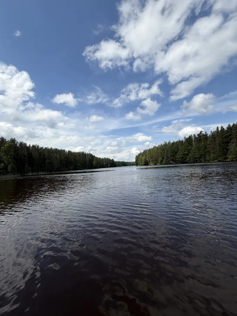 Sludinajums no telefona, dzīvokļi sludinājums Jelgavas novadā 1
