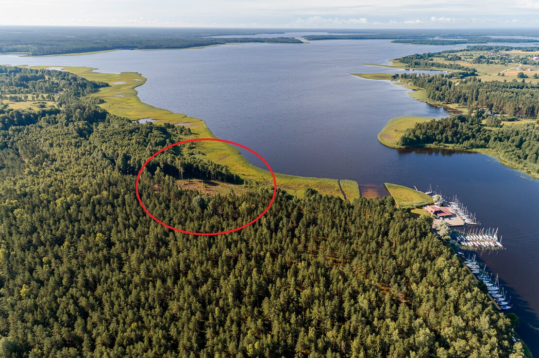 Продаю 10 га земли, земля ad в Вентспилсском крае 7